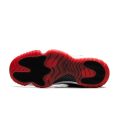 aj11_bred_a05.jpg
